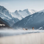 DER Image 1200x800 20260511 DER Image 1200x800 20260511
