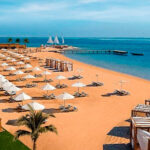 Landingpage Coral Galerie 05 20260615