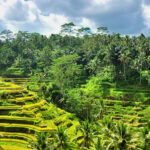 Landingpage BuM Galerie 01 20260720