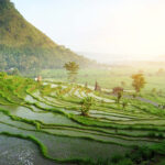 Landingpage BuM Galerie 03 20260720